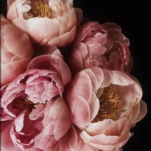 Meet your Posher, Kesha